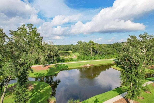 3018 Vincent Astor Dr, Johns Island, SC 29455 - water view featuring a forest