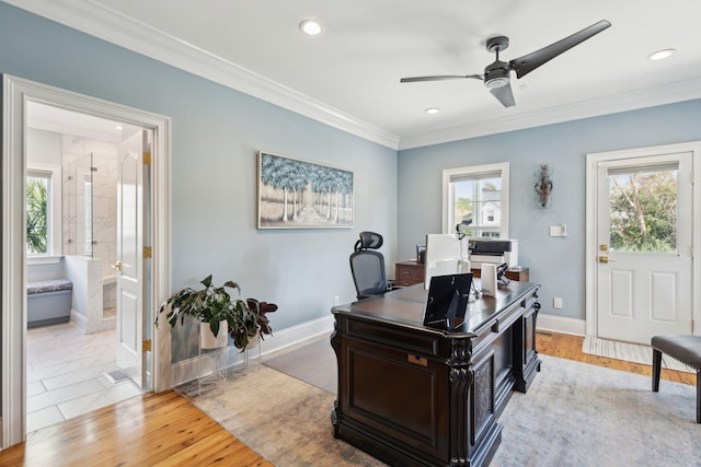 office featuring light hardwood / wood-style flooring, ceiling fan, and crown molding