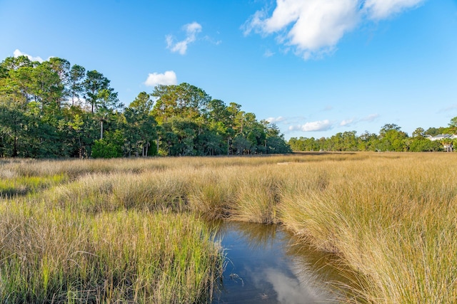 view of local wilderness with a water view