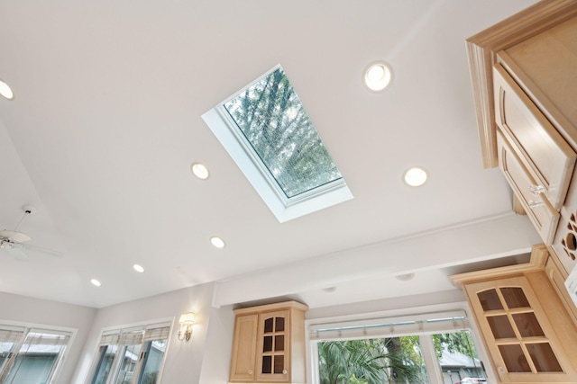 room details with ceiling fan and a skylight