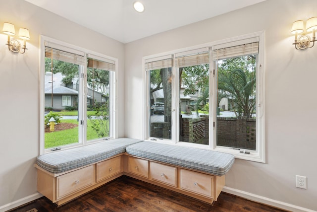 unfurnished room featuring dark hardwood / wood-style flooring and a wealth of natural light