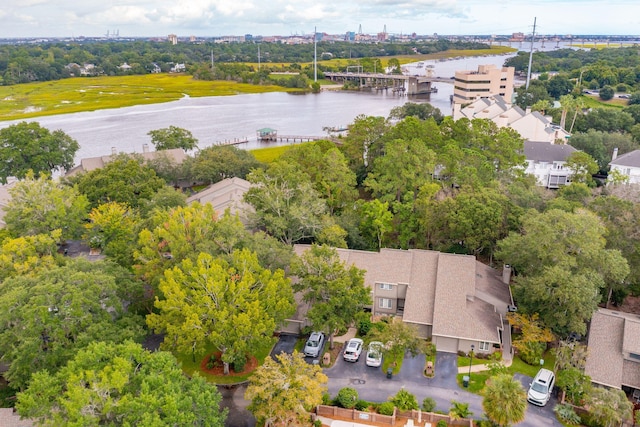 drone / aerial view with a water view