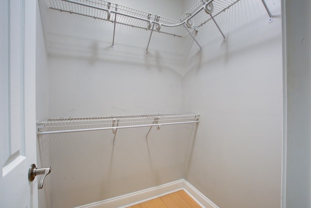 116 Venezia Ct, Ladson, SC 29456 - spacious closet with wood finished floors