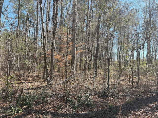 Listing photo 3 for 000 Old Beech Hill Rd, Ridgeville SC 29472