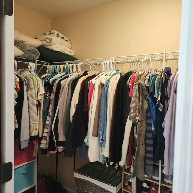 view of spacious closet