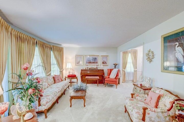 carpeted living room with a textured ceiling