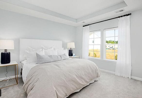 carpeted bedroom with a tray ceiling