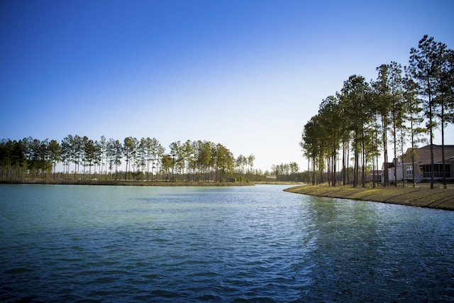 view of water feature