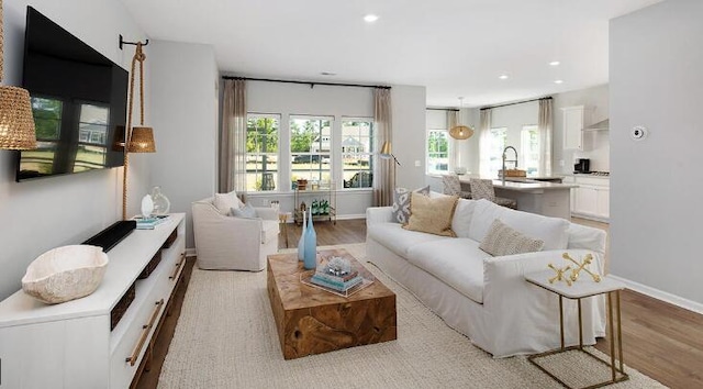 living room with light hardwood / wood-style flooring