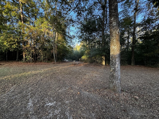 143 Fisk Rd, Dorchester, SC 29437 - view of yard