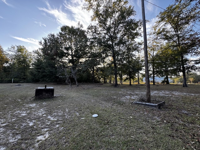 143 Fisk Rd, Dorchester, SC 29437 - view of yard