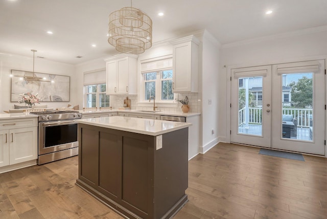 kitchen with a healthy amount of sunlight, ornamental molding, high end stainless steel range, and a sink