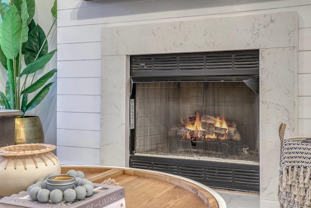 room details with a premium fireplace