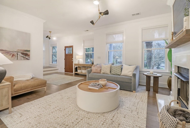 living room featuring visible vents, wood finished floors, a fireplace with raised hearth, and ornamental molding