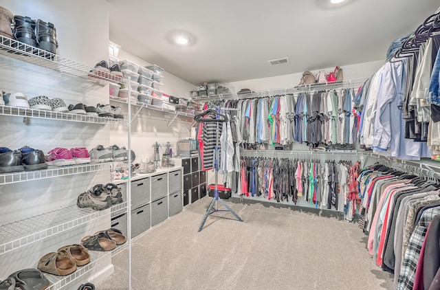 spacious closet featuring carpet floors