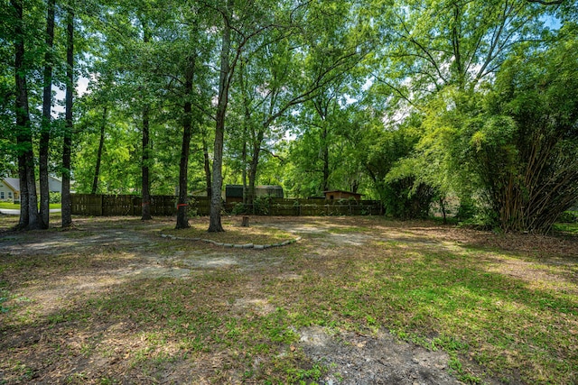 100 Colonial Dr, Goose Creek, SC 29445 - view of yard featuring fence