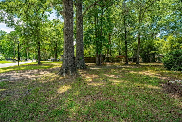 100 Colonial Dr, Goose Creek, SC 29445 - view of yard