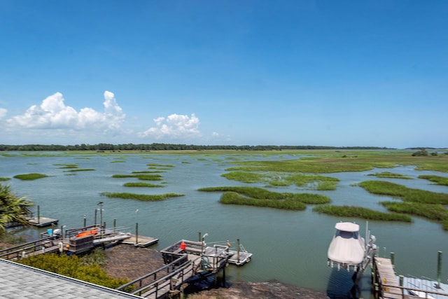 2226 Folly Rd, Charleston, SC 29412 - water view featuring a boat dock