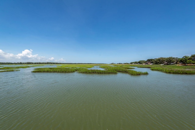 2226 Folly Rd, Charleston, SC 29412 - water view