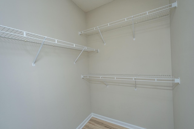 45 Scyamore Ave Unit 623, Charleston, SC 29407 - walk in closet with wood finished floors