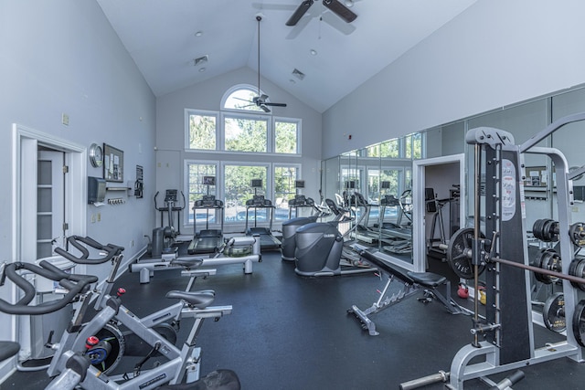 45 Scyamore Ave Unit 623, Charleston, SC 29407 - exercise room with a ceiling fan, healthy amount of natural light, and high vaulted ceiling