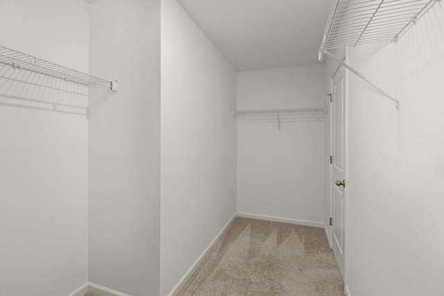 walk in closet featuring carpet flooring