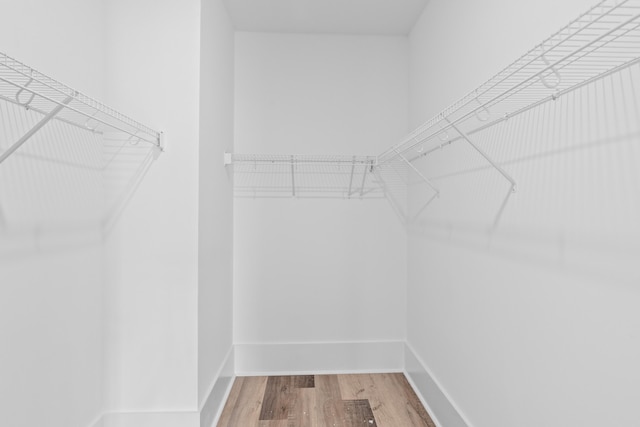 spacious closet with wood finished floors