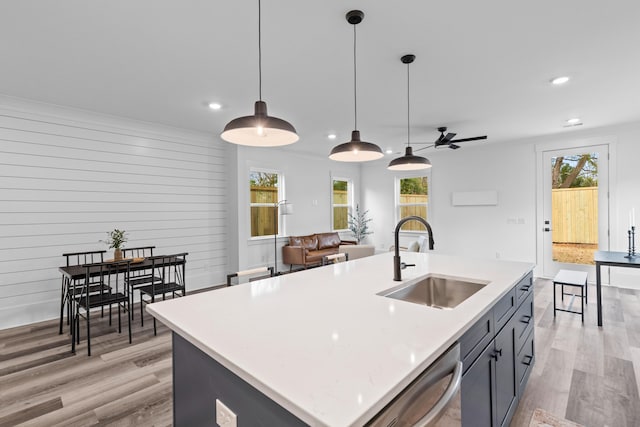 kitchen featuring light countertops, stainless steel dishwasher, a sink, and light wood-style floors