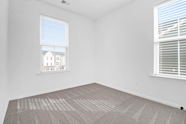 unfurnished room with carpet flooring and a healthy amount of sunlight