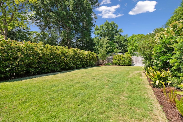 1474 Indian St, Mount Pleasant, SC 29464 - view of yard