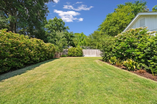 1474 Indian St, Mount Pleasant, SC 29464 - view of yard