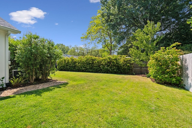 1474 Indian St, Mount Pleasant, SC 29464 - view of yard