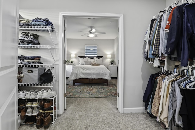 interior space with ceiling fan and carpet