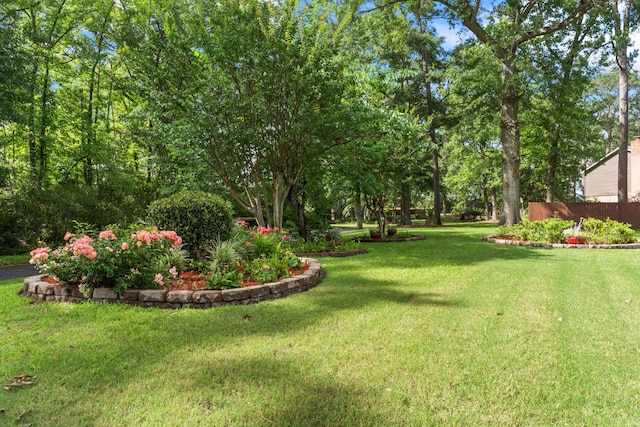 1551 Hutton Pl, Charleston, SC 29407 - view of grassy yard