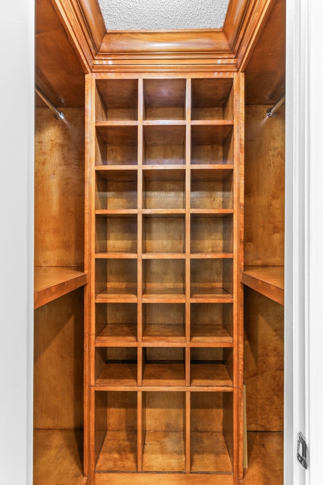 1551 Hutton Pl, Charleston, SC 29407 - view of spacious closet