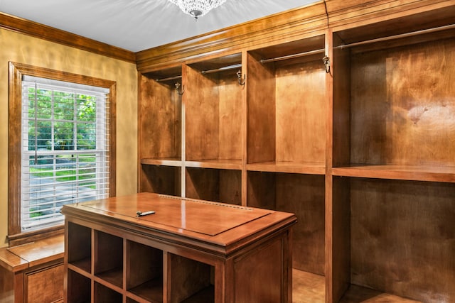 1551 Hutton Pl, Charleston, SC 29407 - view of walk in closet