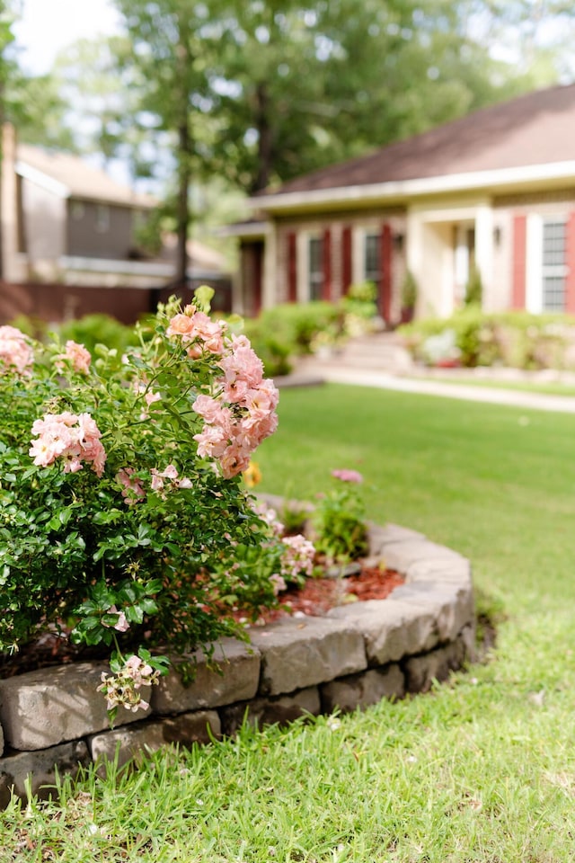 1551 Hutton Pl, Charleston, SC 29407 - view of green lawn