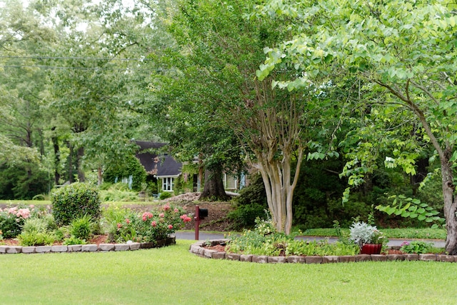 1551 Hutton Pl, Charleston, SC 29407 - view of grassy yard
