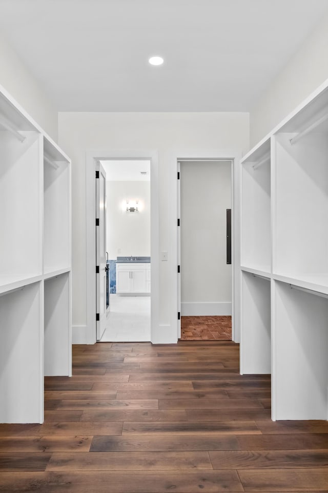 walk in closet featuring a sink and dark wood finished floors