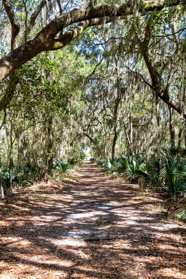 view of road featuring a view of trees