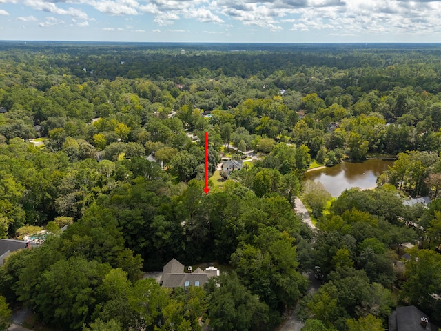 200 Old Postern Rd, Summerville, SC 29483 - drone / aerial view of a heavily wooded area and a nearby body of water