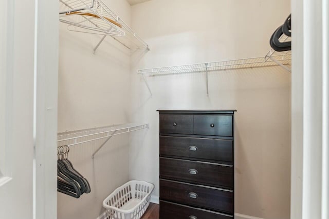 view of spacious closet