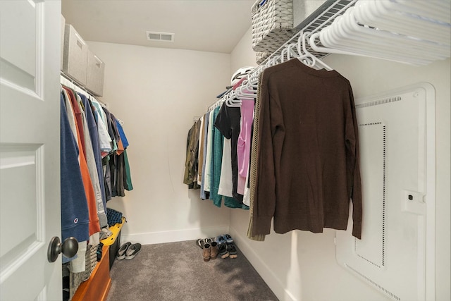 spacious closet with carpet