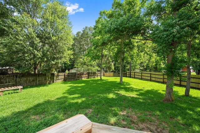 8112 Halifax Way N, Charleston, SC 29420 - view of fenced backyard