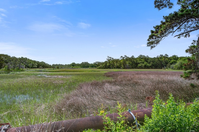 4067 S Rhett Ave, North Charleston, SC 29405 - view of tree filled area with a view of rural / pastoral area