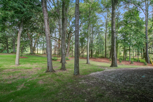4067 S Rhett Ave, North Charleston, SC 29405 - view of green lawn