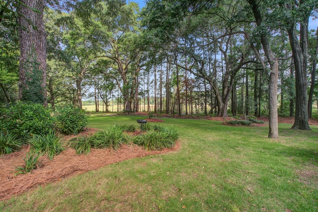 4067 S Rhett Ave, North Charleston, SC 29405 - view of grassy yard
