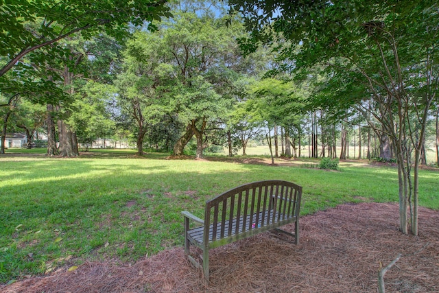 4067 S Rhett Ave, North Charleston, SC 29405 - view of grassy yard with view of scattered trees