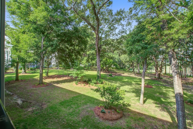 4067 S Rhett Ave, North Charleston, SC 29405 - view of green lawn