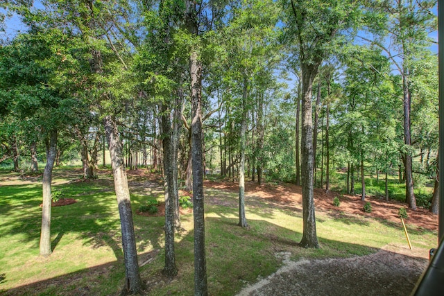 4067 S Rhett Ave, North Charleston, SC 29405 - view of grassy yard